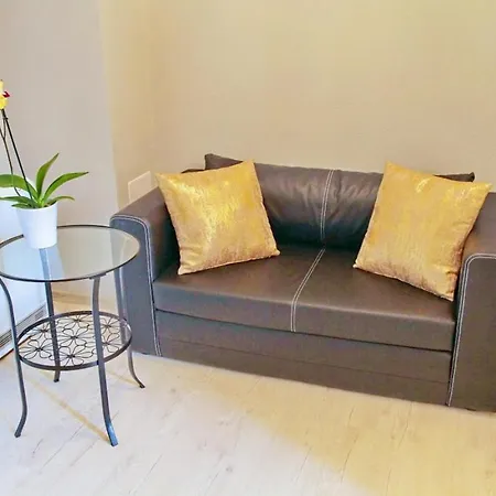 Grey 弗罗茨瓦夫