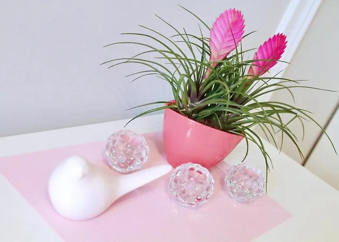 Kwatera prywatna Grey